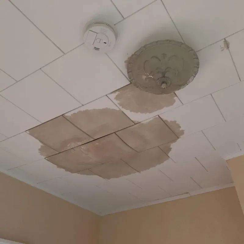 Ceiling Water Damage Repair in Scotchtown, NY